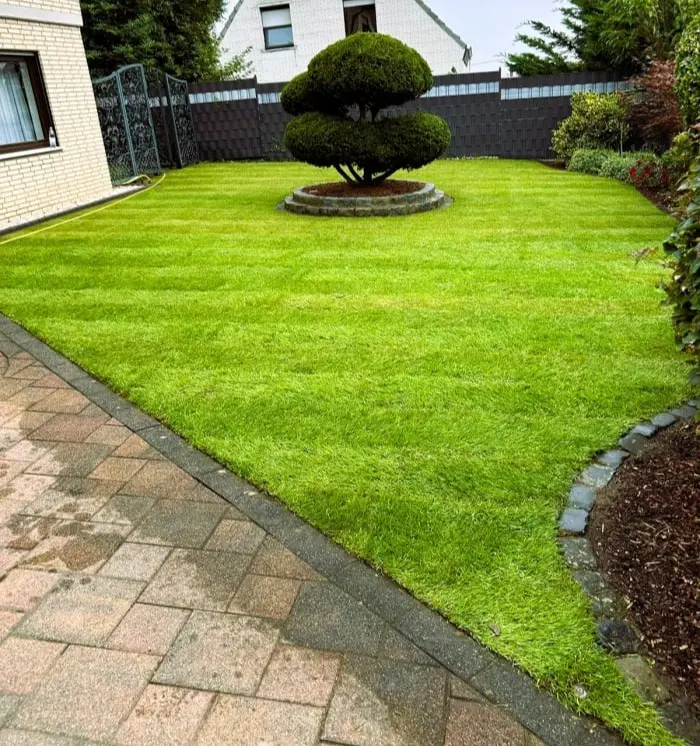 neuer Rollrasen mit Bewässerung