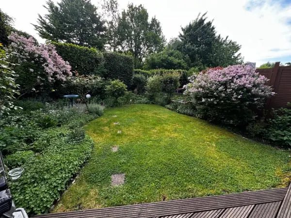 Garten mit alter Rasenfläche und Beeteinfassung