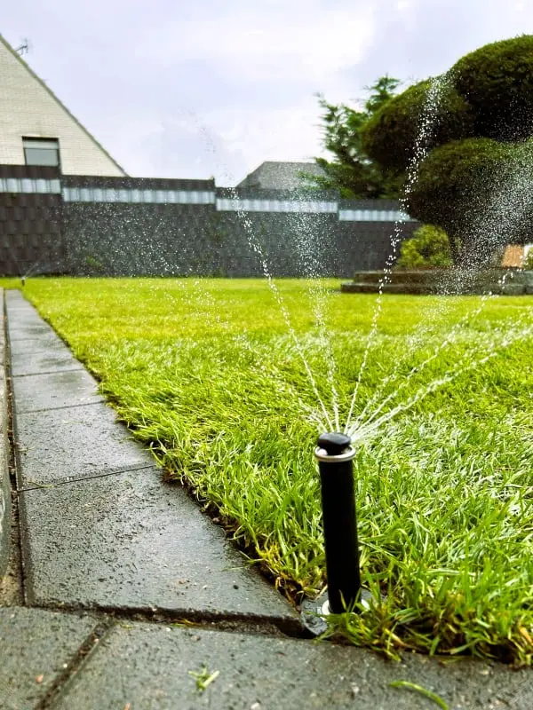 sprühende Rasenbewässerung