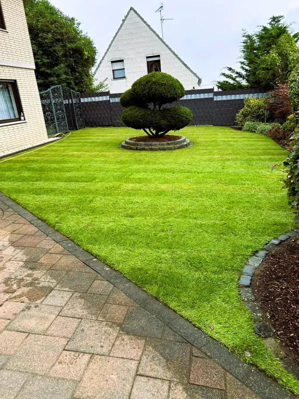 Garten mit fertig verlegtem Rollrasen